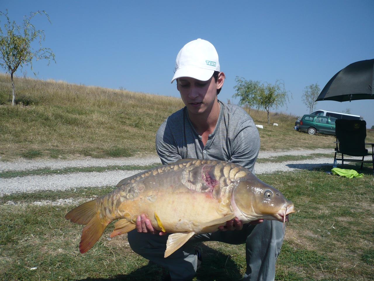 MV 2 - 19 SEPT 2014 - p1020844.JPG